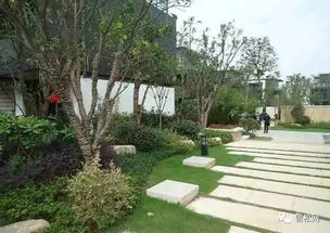 園林綠化工程施工技術(shù)規(guī)范大全 萬(wàn)字長(zhǎng)文