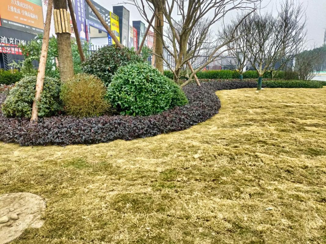 園林綠化工程 #施工現(xiàn)場(chǎng)實(shí)拍 #記錄在工地上的日子 #踏實(shí)